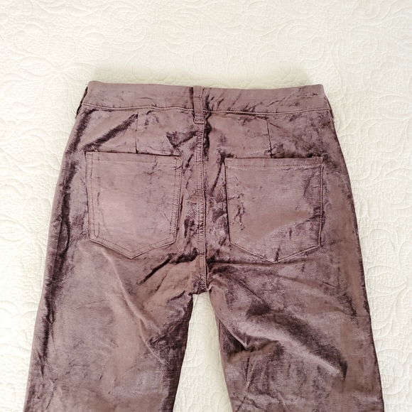 Free People Velvet Pants - Picture 3 of 8